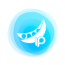 豌豆代理ip app
